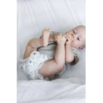 DELUXE VELUXE VELVET PAIRS NIGHT Сон в ліжко. L (8-13 кг) 19 шт: ціни та характеристики
