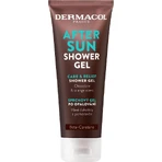 Dermacol AFTER SUN Гель для душа после солнца 1×250 мл, гель для душа: цены и характеристики
