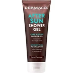 Dermacol AFTER SUN Гель для душа после солнца 1×250 мл, гель для душа: цены и характеристики