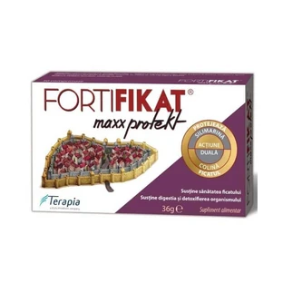 Фортификат Макс Протект, 30 таблеток, Терапия