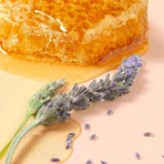 Nuxe Reve de Miel, бальзам для губ з медом, 15 г: ціни та характеристики