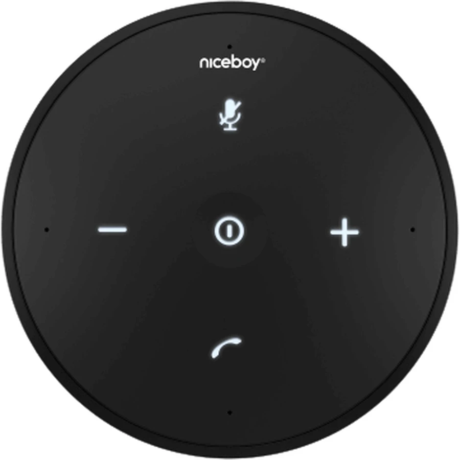 Niceboy Voice Call BT pro: ціни та характеристики