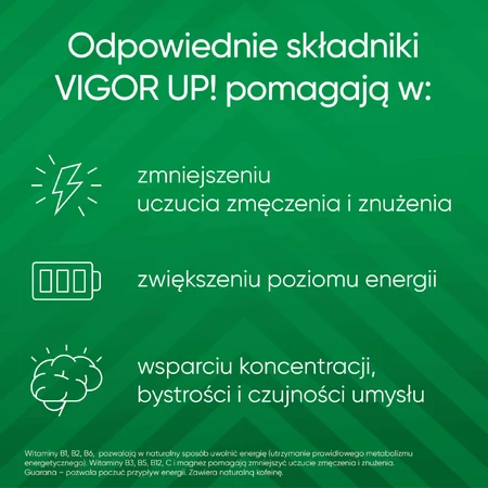 Vigor Up!, 30 таблеток: ціни та характеристики