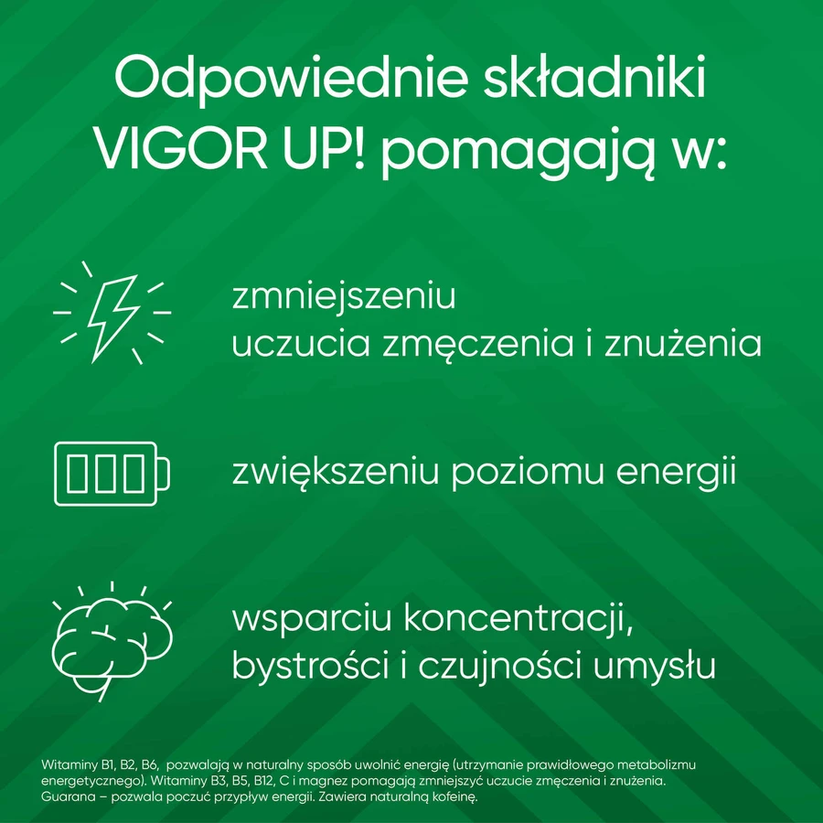 Vigor Up!, 30 таблеток: ціни та характеристики