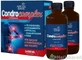 Adelle Davis CONDROCOMPLEX Liposomal cb formula 2×500 мл, пищевая добавка