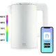 Чайник Niceboy ION SmartKettle Polar білий