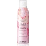 Revolution Haircare Об'ємний сухий шампунь для волосся 1×1 шт: ціни та характеристики
