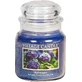 Village Candle Ароматична свічка в склі - Гортензія - Гортензія, маленька 1×1 шт, ароматична свічка