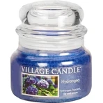 Village Candle Ароматична свічка в склі - Гортензія - Гортензія, маленька 1×1 шт, ароматична свічка: ціни та характеристики
