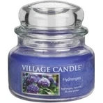 Village Candle Ароматична свічка в склі - Гортензія - Гортензія, маленька 1×1 шт, ароматична свічка: ціни та характеристики