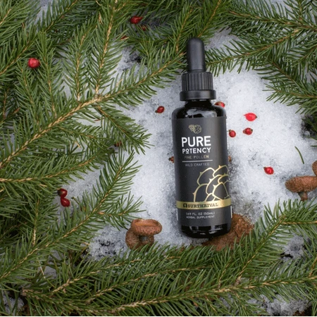 Pine Pollen Pure Potency, сосновая пыльца, 50 мл: цены и характеристики