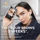 Напівстійка фарба для брів L'Oréal Paris Brow Color 7.0 Темно-русявий