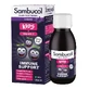 Сироп Sambucol Kids черная бузина с витамином С для детей с 1 года, 120 мл