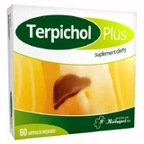 Terpichol Plus, Терпіхол Плюс 60 капсул