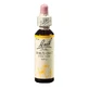 Екстракт дикого вівса Rescue Remedy Wild Oat Original Bach Drops, краплі, 20 мл