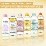 Garnier Skin Naturals Мицеллярная вода All in1 400 мл: цены и характеристики