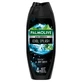 Palmolive Men Sensitive Cool Splash, гель для душа, 500 мл