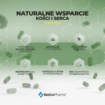 Менахинокс К2 200, 30 капсул: цены и характеристики