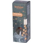Ароматичні палички Bolsius True Glow Diffuser Winterwoods 1×45 мл, аромат для квартири: ціни та характеристики