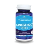 Гинкго 120 стеблей, 60 капсул, Herbagetica