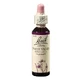 Краплі для квітів Water Violet Original Bach, 20 мл, рятівний засіб для фіалки, Rescue Remedy