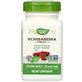 Шизандра плоди Natures Way, 100 капсул, 580 мг, Secom