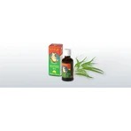 Health Link EUKY BEAR 1×50 мл, эвкалиптовое масло: цены и характеристики