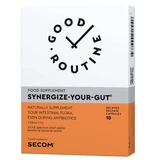 Synergise Your Gut Good Routine, 10 вегетарианских капсул, Secom