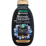 Garnier Botanic Therapy Магнітне вугілля очищувальний шампунь, 250 мл 1×250 мл, очищувальний шампунь