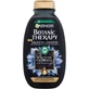 Garnier Botanic Therapy Магнітне вугілля очищувальний шампунь, 250 мл 1×250 мл, очищувальний шампунь