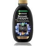 Garnier Botanic Therapy Магнітне вугілля очищувальний шампунь, 250 мл 1×250 мл, очищувальний шампунь: ціни та характеристики