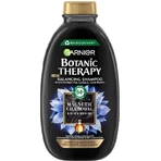 Garnier Botanic Therapy Магнітне вугілля очищувальний шампунь, 250 мл 1×250 мл, очищувальний шампунь: ціни та характеристики