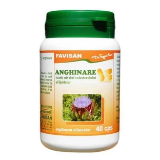 Артишок, 40 капсул, Favisan