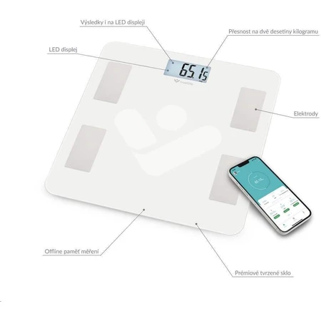 TrueLife FitScale W4 BT - розумні діагностичні ваги: ціни та характеристики