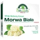 Olimp Pure Herbs Mulberry Premium, 30 капсул