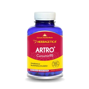 Artro+ Curcumin95 Herbagetica, 120 капсул