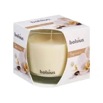 Bolsius Aromatic 2.0 Скло 95x95мм Ваніль, ароматична свічка 1×1 шт, ароматична свічка: ціни та характеристики