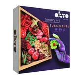 Сукуленти Wood&Craft, 21 х 21 см, +12 років, Passion, Okto