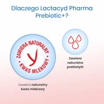 Lactacyd Pharma Prebiotic+, пробіотичний лосьйон для інтимної гігієни, 250 мл: ціни та характеристики