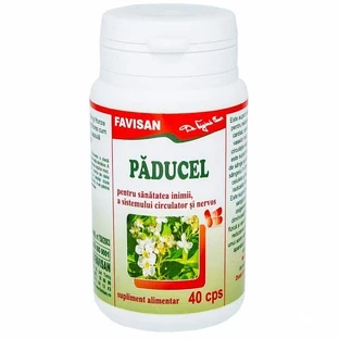Пдуцел, 40 капсул, Favisan