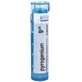 Boiron Pyrogenium CH9 гранулы 4 г
