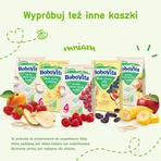 BoboVita Молочно-злакова каша, вівсяна, після 8 місяців, 230 г: ціни та характеристики