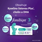 Фемибион 3, 28 таблеток + 28 капсул: цены и характеристики