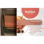 Bolsius Aromatic 2.0 Glass Apple Cinammon, ароматическая свеча 1×1 шт, размер 80 x 50 мм: цены и характеристики