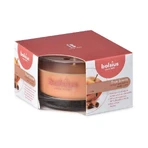 Bolsius Aromatic 2.0 Glass Apple Cinammon, ароматическая свеча 1×1 шт, размер 80 x 50 мм: цены и характеристики