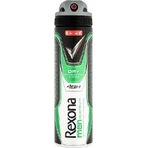 Rexona антиперспирант MEN Quantum 1×150 мл, антиперспирант: цены и характеристики