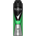 Rexona антиперспирант MEN Quantum 1×150 мл, антиперспирант: цены и характеристики