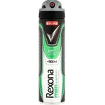Rexona антиперспирант MEN Quantum 1×150 мл, антиперспирант: цены и характеристики
