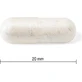 JAMIESON PROBIOTIC 10 MILIARD 1×60 cps, суміш бактеріальних культур