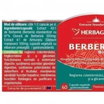 Берберин Біо-актив Herbagetica, 60 капсул: ціни та характеристики